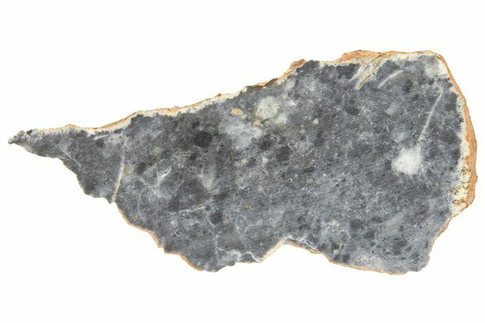 Lunar Meteorite ( g) Slice - Bechar #360565